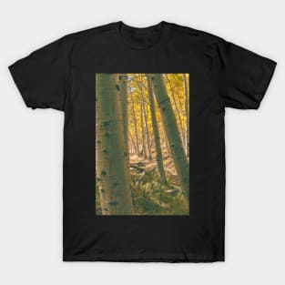 Autumn Aspens T-Shirt